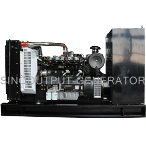 Biogass Generator Set